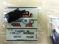 Предохранитель T12287-39 - st-e.info - Астрахань